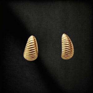 Fevyn Gold Plated Stainless Steel Hoop Earrings for Women & Girls